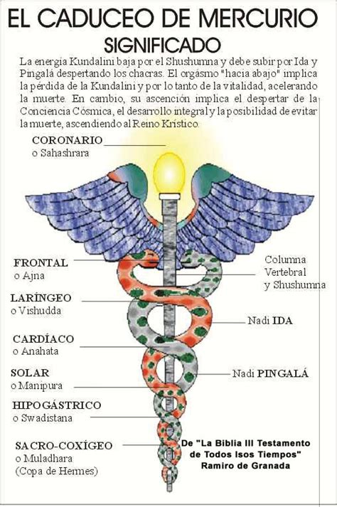 curar vara de hermes|El Caduceo: Origen, Mito de Hermes y Significado en la .